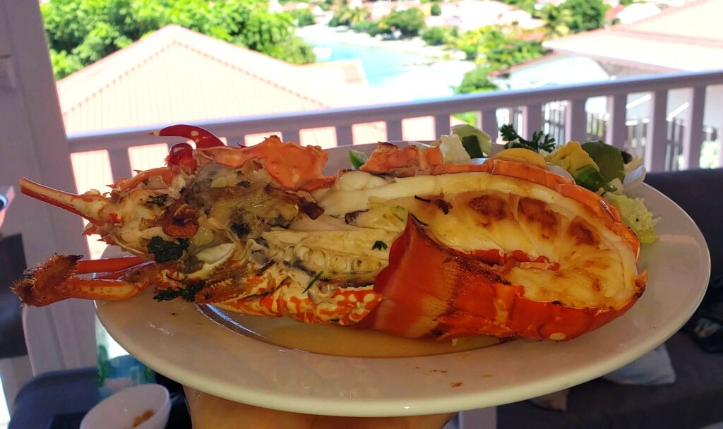Langouste à Terre-de-Haut