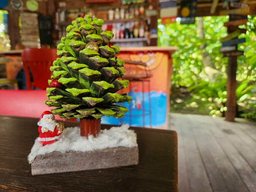 Noël aux Bananes Vertes