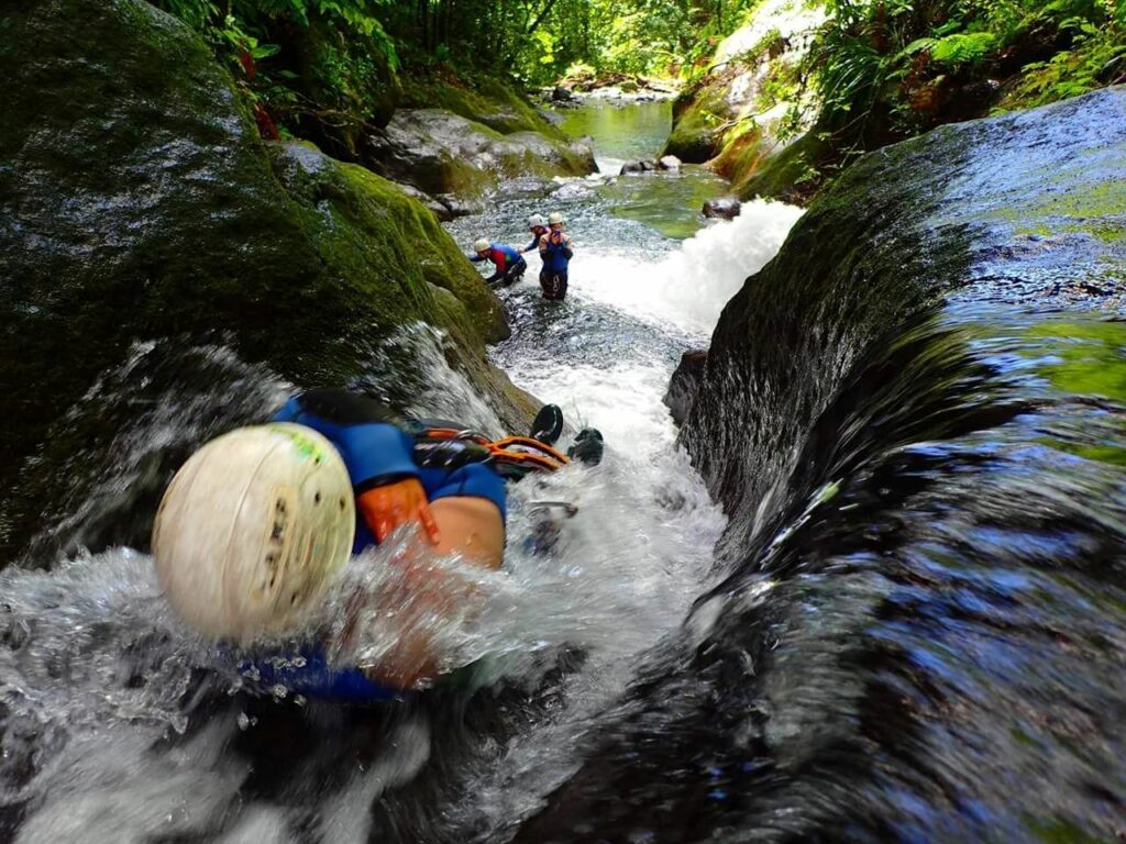 toboggan canyon