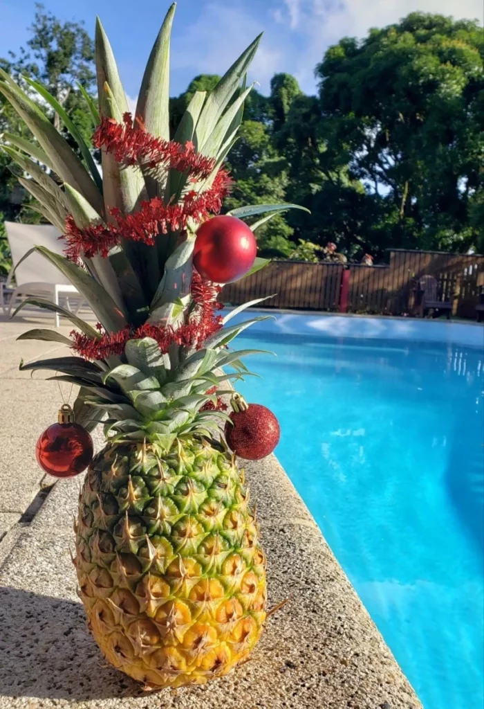 Sapin ananas Les Bananes Vertes